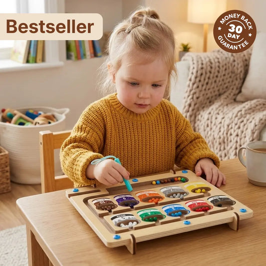 TinyWonder™ - Montessori Magnetic Maze