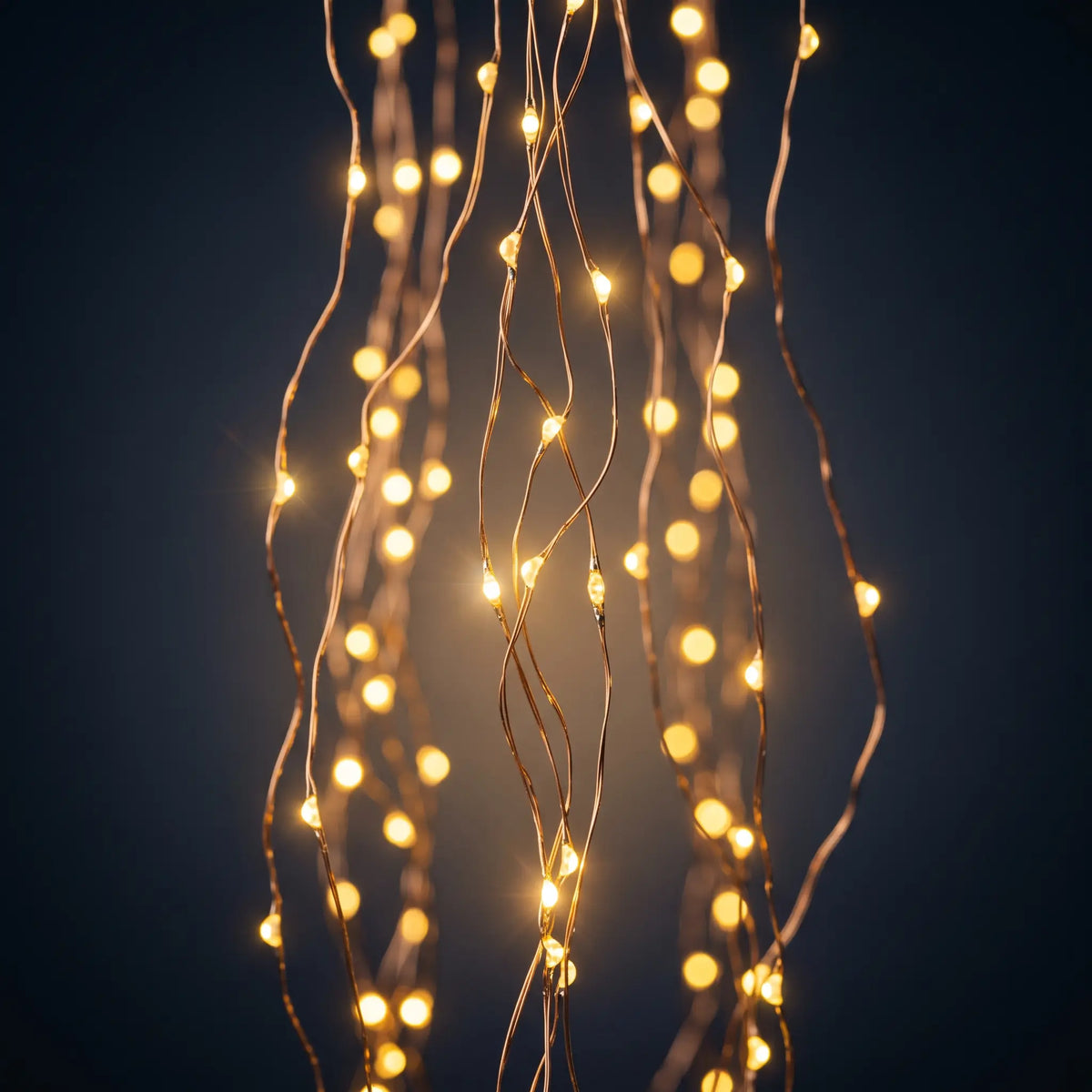 TwinkleTree Fairy Lights